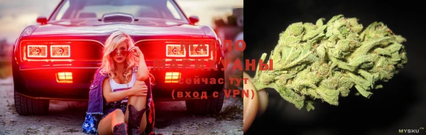 стаф Абаза
