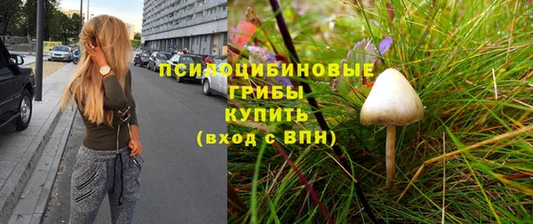 стаф Абаза