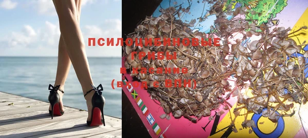 тгк Абинск