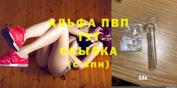 индика Абдулино
