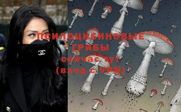 тгк Абинск