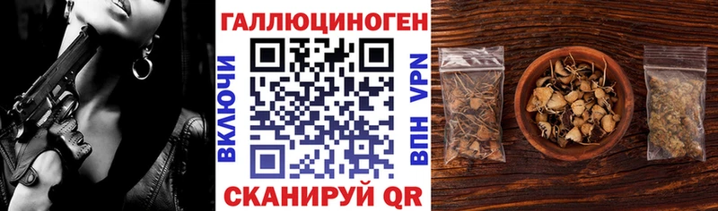 Галлюциногенные грибы GOLDEN TEACHER  хочу наркоту  Чулым 